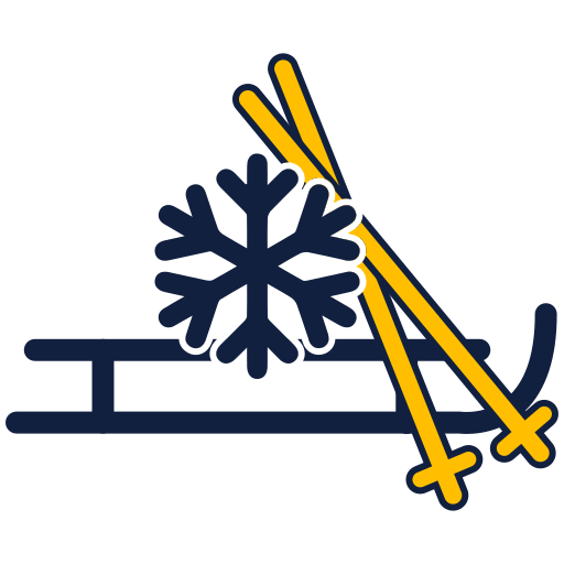 Winter sports icon