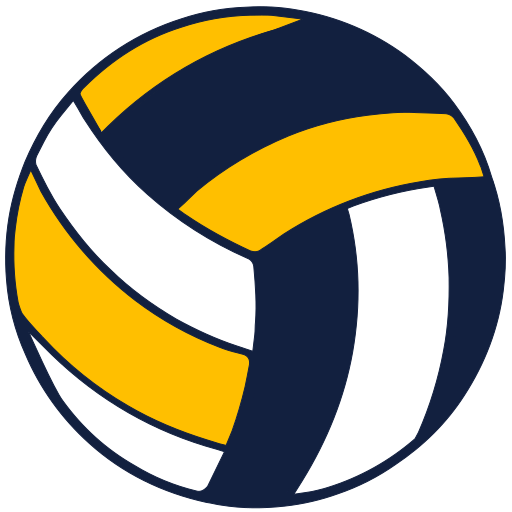 Voleyball icon